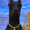 doberman5505