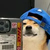 gggra_2425
