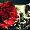 amal.yousif5