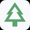Forevergreen 🌲