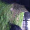 altlazee
