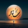 sanad8490