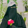 islamer.sehjadi440