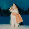 nugget_9790