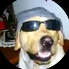 elbazadoxdd0