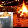 zoerodemais