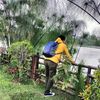 arraw23