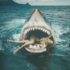 shark8mytail