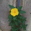 minek283