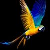 mohamed.ista.biba