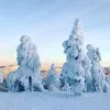 vilhonen_011