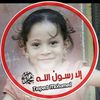 mohamed.elsayed9542