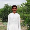 niazhussain7560
