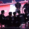 t1dimcktg