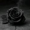 broken......rose