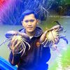 kepiting_jantan23