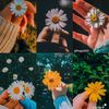 shanu_page2