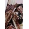 jannatul.ferdous685