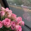 1flower515