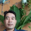 tan.tran946