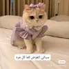 awaddh
