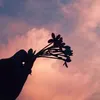 nhachay_030