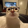 oreobassel