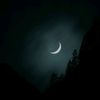 shayan_abbas900