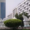 alilou8238
