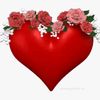 hein.htet8423