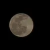 a_s_987287