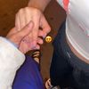 joli._.cat06