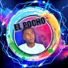 el pocho