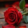 mariam67217