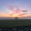flo_o728