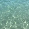 annabelle_rog