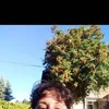 lilianamiranda588