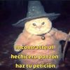 user8470956696355