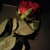 aydllm_1
