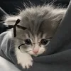 cellybts1
