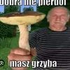 zlew_zlewski