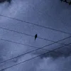 networth_content