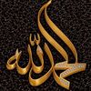 saed.kamel5