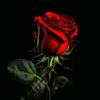 wateen._.10