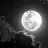 khaled.almalki8