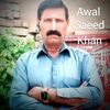 awalsaeed05