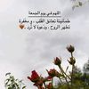 hanan27490