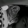 milena.rp8