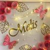 melis_23_28