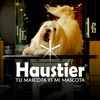 ty.haustier